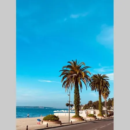 T2 Golfe Juan 47m2 Plages Et Port דירה