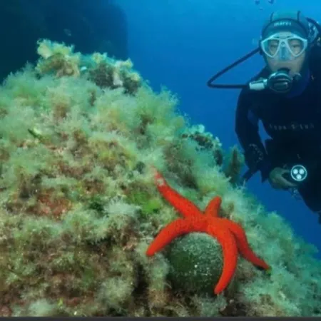 T2 Golfe Juan 47m2 Plages Et Port *